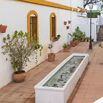 Apartment Nagueles Starlite *